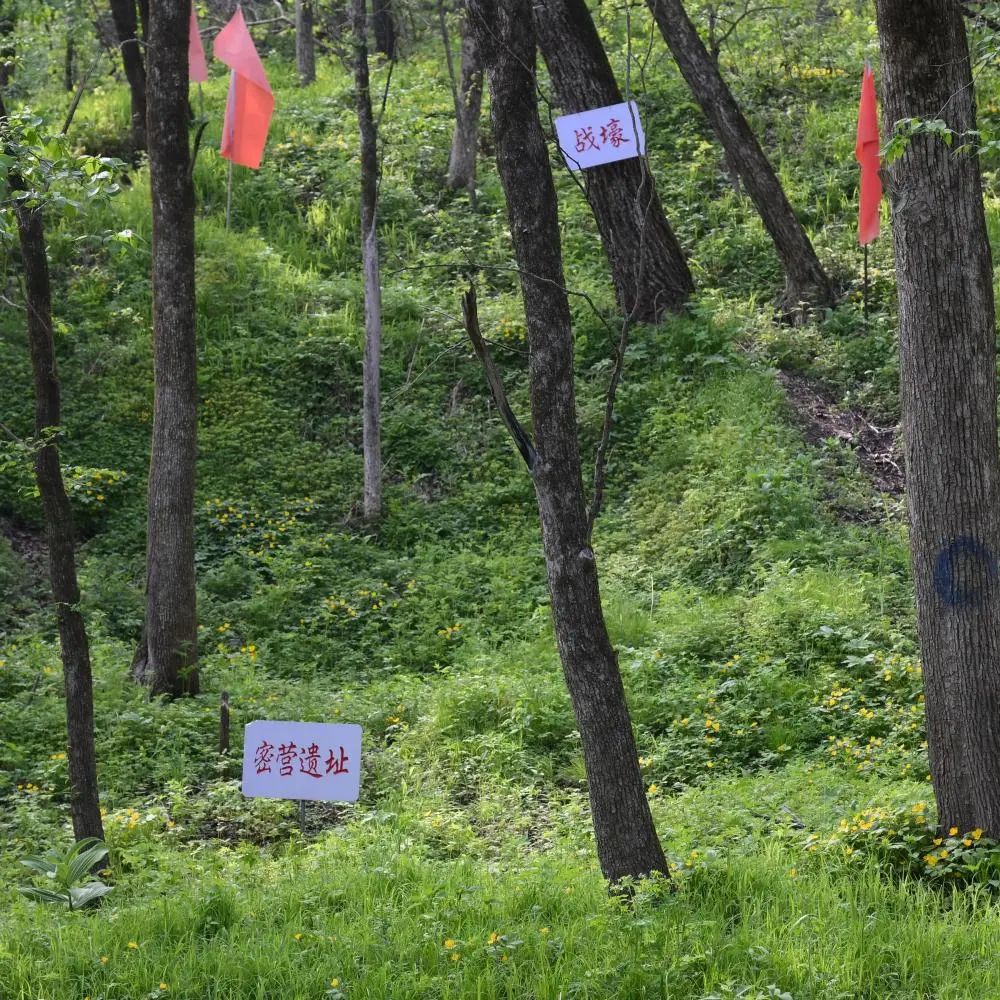 銘記歷史 緬懷先烈 | 為何犧牲60多年后，他的顱骨才被找到？(圖5)