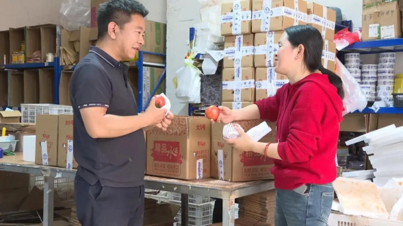 先鋒模范 | 林間逐夢助振興——楚雄市返鄉“新農人”彭程創業成長記(圖2) 先鋒模范 | 林間逐夢助振興——楚雄市返鄉“新農人”彭程創業成長記(圖2)